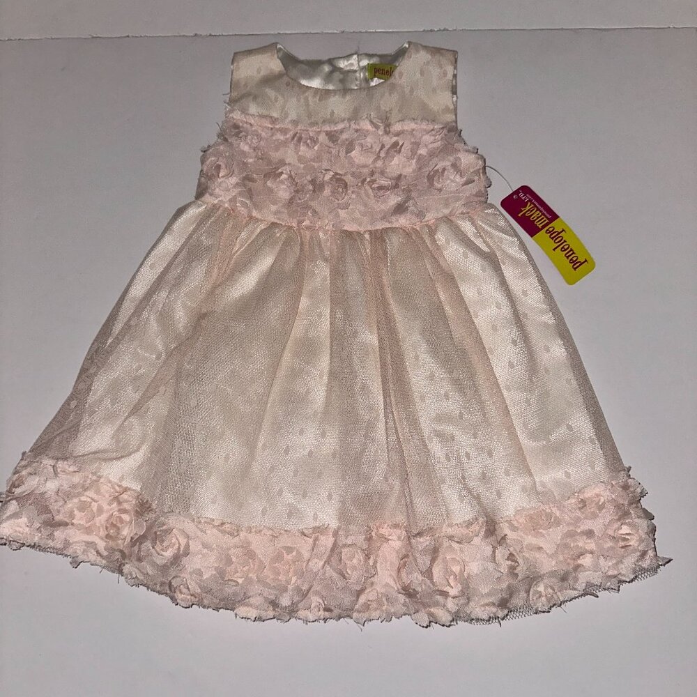 New Penelope Mack Baby Girl Dress pale pink Size 18 Months 3D Flowers NWT